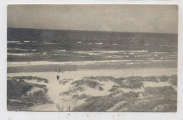 0-2591 DIERHAGEN - NEUHAUS, Strand, Photo-AK 1933 - Fischland/Darss