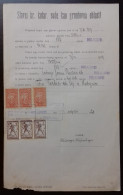 Kingdom Of Yugoslavia - Court Document, Franked With SHS Stamps Of Slovenia Instead Of Revenue Stamps. - Cartas & Documentos