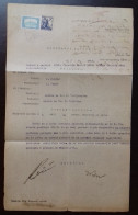 Kingdom Of Yugoslavia - Court Document, Franked With SHS Stamps Of Croatia And Stamp Of Hungary Instead Of Revenue Stamp - Cartas & Documentos