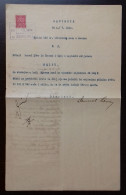 Kingdom Of Yugoslavia - Court Document, Franked With SHS Stamps Of Croatia Instead Of Revenue Stamps. - Lettres & Documents