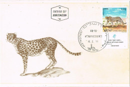 49906. Tarjeta Maxima JERUSALEM (israel) 1971. Fauna Carnivoros, LEOPARDO - Maximum Cards