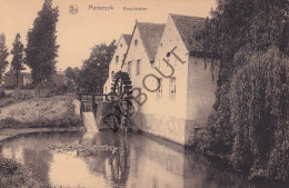 Postkaart/Carte Postale - Maaseik - Boschmolen (C3929) - Maaseik