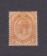 1913 Union Of South Africa. 11 MLH King George V 20,00 € - Unused Stamps
