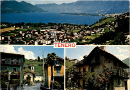 Tenero - 3 Bilder (799) * 15. 5. 1981 - Tenero-Contra