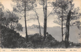 Carantec         29         Le  Bois De Sapins Vue Sur La Baie De Morlaix      (voir Scan) - Carantec