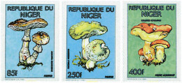 230569 MNH NIGER 1991 MARIPOSAS Y SETAS - Spinnen