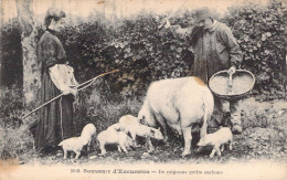 FOLKLORE - SOUVENIR D'excursion - De Mignons Petits Cochons - Fermiers - Carte Postale Ancienne - Kostums