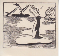 Feuillet (90/90), Dessin à L'encre De Chine "Iceberg, Porte Avion, Manchot, ...) Souvenir Illustré De Dronning Maud Land - Covers & Documents