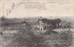 FOLKLORE - BERRICHONNES - Dans Les Champs - Carte Postale Ancienne - Vestuarios