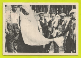 ST PIERRE ET MIQUELON Morue Carte PUB Laboratoires LA BIOMARINE Dieppe Envoyée En 1948 Au Dr Régine Granier à Charenton - Saint-Pierre-et-Miquelon