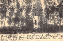 BELGIQUE - HOLLOGNE SUR GEER - Les Ruines Du Château Fort - Carte Postale Ancienne - Sonstige & Ohne Zuordnung