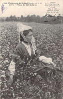 FOLKLORE - Les Chansons De Botrel - Fleur De Blé Noir - Carte Postale Ancienne - Musique