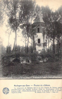 BELGIQUE - HOLLOGNE SUR GEER - Restes Du Château - E Desaix - Carte Postale Ancienne - Altri & Non Classificati