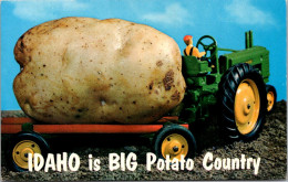 Idaho Exageration Idaho Is Big Potato Country - Andere & Zonder Classificatie