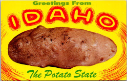 Idaho ExagerationGreetings From The Potato State - Autres & Non Classés