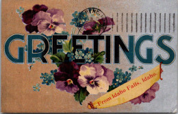 Idaho Greetings From Idaho Falls With Violets 1909 - Idaho Falls