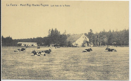 - 3061 - MONT -RIGI ( Jalhay , Sourbrodt ,Waimes Et Environs ) La Ferme - Waimes - Weismes