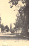 BELGIQUE - LAEKEN - Vieux Heysel - Le Gros Tilleul Et La Tour Chinoise - Carte Postale Ancienne - Laeken