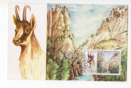 1983. YUGOSLAVIA,BOSNIA,MAXIMUM CARD,NATURE PROTECTION EUROPE,NATIONAL PARK SUTJESKA,SUTJESKA GORGE,CHAMOIS,FAUNA - Tarjetas – Máxima