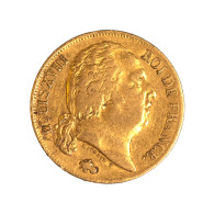 Louis XVIII-20 Francs 1819 Lille - 20 Francs (or)
