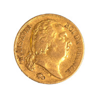 Louis XVIII-20 Francs 1819 Lille - 20 Francs (gold)