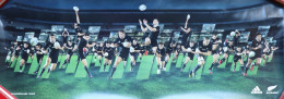 Sports, Rugby - Photo Publicitaire Panoramique Equipe All Blacks 2013 - Publicité Adidas Et AIG - Deportes