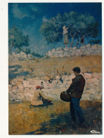 CPM - BRIGNOLES (Var) - Musée Du Pays Brignolais - La Cueillette Des Olives, Par Montenard, Peintre Provencal - Brignoles