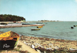 Le Logéo , Sarzeau * Presqu'ile De Rhuys - Sarzeau