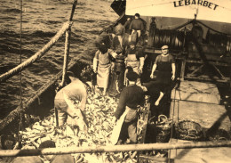 Lorient * 2 CP * Bateau De Pêche LE BARBET , Pêcheurs * Poissons * Bateau Chalutier Commerce - Lorient