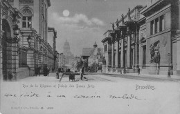 BELGIQUE - BRUXELLES - Rue De La Régence Et Palais Des Beaux Arts - Carte Postale Ancienne - Sonstige & Ohne Zuordnung