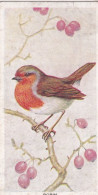 33 Robin   -   Carreras Cigarette Card Birds Of The Countryside, 1939 - Player's