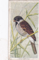 32 Reed Bunting  -   Carreras Cigarette Card Birds Of The Countryside, 1939 - Player's