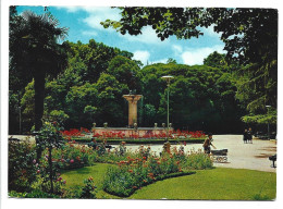 UN BELLO RICON DEL PARQUE CAMPO GRANDE / ON CORNER BEATIFUL OF CAMPO GRANDE PARK.-  VALLADOLID.- ( ESPAÑA ) - Valladolid