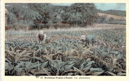 BELGIQUE - ROCHEHAUT FRAHAN - Les Plantations - Carte Postale Ancienne - Andere & Zonder Classificatie