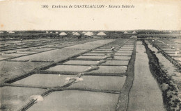 Châtelaillon * Environs * Vue Sur Les Marais Salants * Paludiers - Châtelaillon-Plage