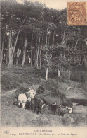 FRANCE - 35 - Rotheneuf - La Guimorais - Le Bois Du Lupin - Carte Postale Ancienne - Rotheneuf