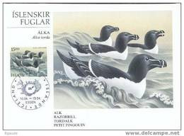 ISLANDE CARTE Maximum  NUM YVERT  600 OISEAUX - Cartoline Maximum