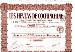 HEVEAS DE COCHINCHINE - Asia