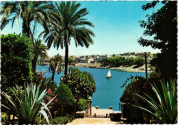 CPM Aswan – View Of The Nile EGYPT (852920) - Aswan