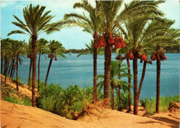 CPM Aswan – Asswan – Beautiful View Of The Nile At Asswan EGYPT (853001) - Assouan