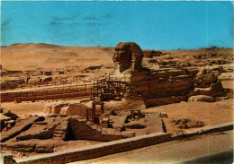 CPM Giza – The Great Sphinx EGYPT (852790) - Sphynx