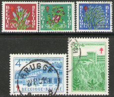 BÉLGICA – BELGIUM Serie X 5 Sellos SOBRETASA PARA LA TUBERCULOSIS Año 1950 – Valorizada En Catálogo € 33,90 - Other & Unclassified