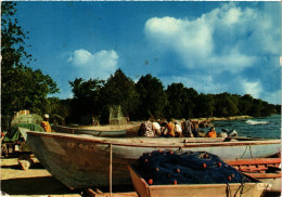 CPM Port De Peche A Saint Louis GUADELOUPE (839759) - Autres & Non Classés