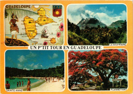 CPM Souvenir GUADELOUPE (839888) - Autres & Non Classés