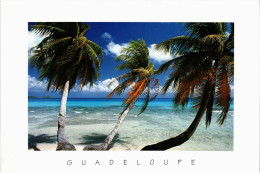 CPM Plage Des Antilles GUADELOUPE (839924) - Autres & Non Classés