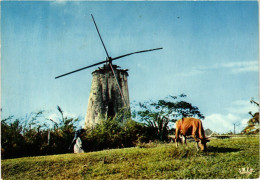 CPM Vieux Moulin A Marie Galante GUADELOUPE (839647) - Autres & Non Classés