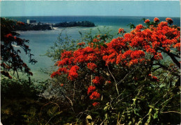 CPM La Pointe De La Verdure GUADELOUPE (839655) - Autres & Non Classés