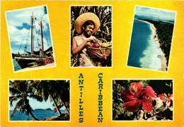 CPM Souvenir GUADELOUPE (839658) - Autres & Non Classés