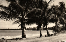 CPM Sainte Rose- La Plage De Cluny GUADELOUPE (839608) - Autres & Non Classés