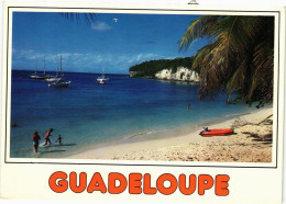 CPM Real Photo On Postcard GUADELOUPE (839724) - Autres & Non Classés